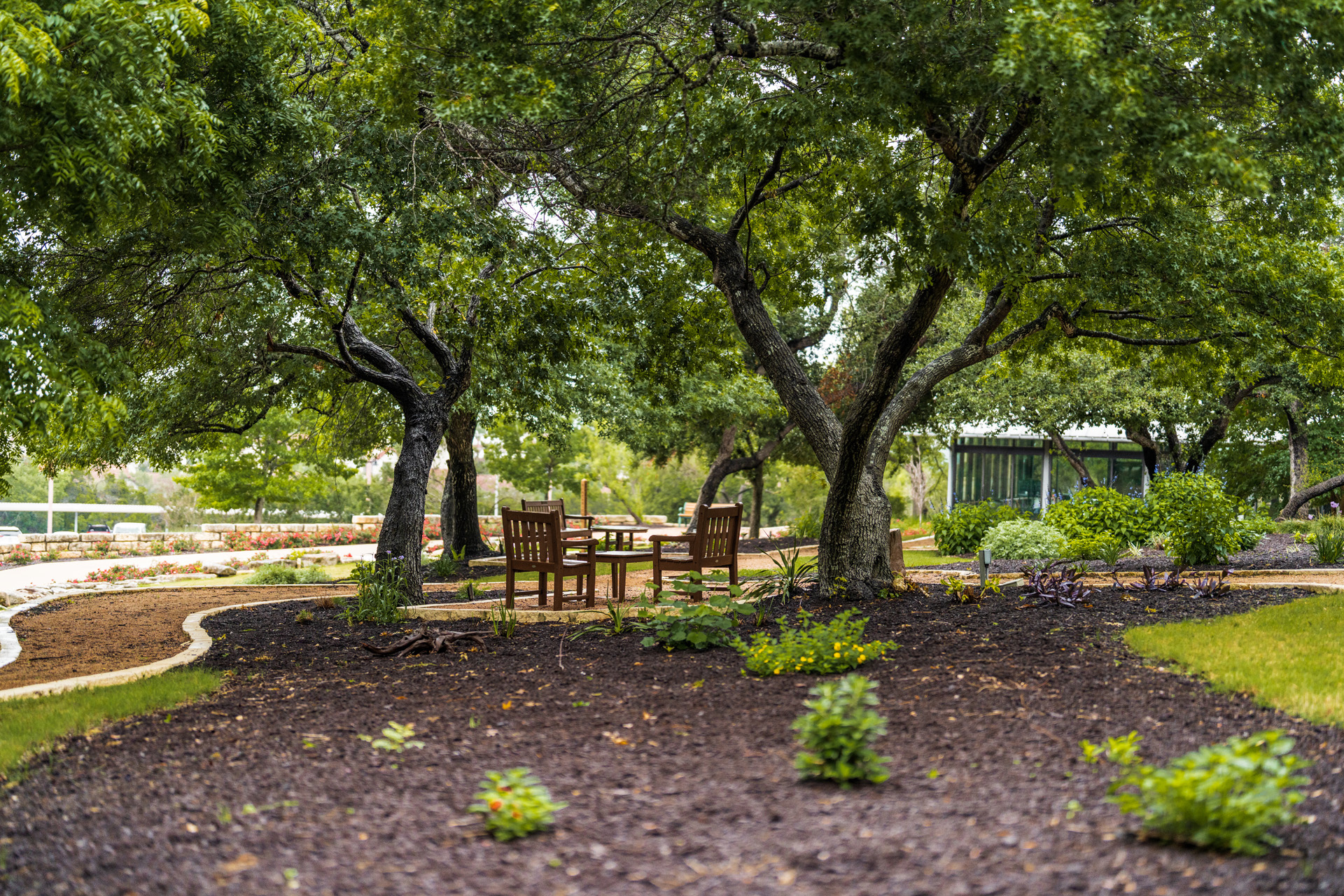 tree-canopied outdoor table and chairs in landscaped setting at Querencia Senior Living Community